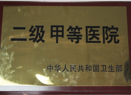 二甲医院