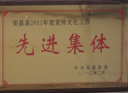 宣传文化先进集体