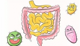 肠道问题， 90%疾病的元凶！肠道保养至关重要