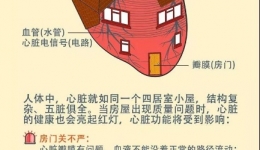 一图说清心血管疾病