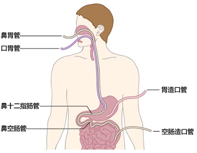 图片 7