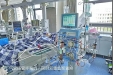 渝西首例 | 一女子被马蜂蜇伤30多处 双重血浆置换帮其化险为夷