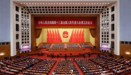 党史学习教育：全国政协十三届五次会议