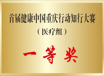 首届健康中国重庆行动知行大赛一等奖（医疗组）