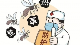 高热、关节痛？警惕“蚊子带来的隐形杀手”——登革热！