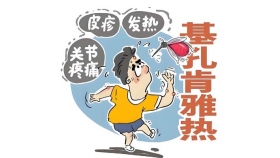 基孔肯雅热无特效药，防蚊是关键！从症状到如何预防全掌握