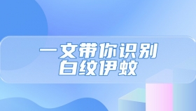 预防登革热，一文带你识别白纹伊蚊