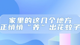 家里的这几个地方，正悄悄“养”出花蚊子！快自查→