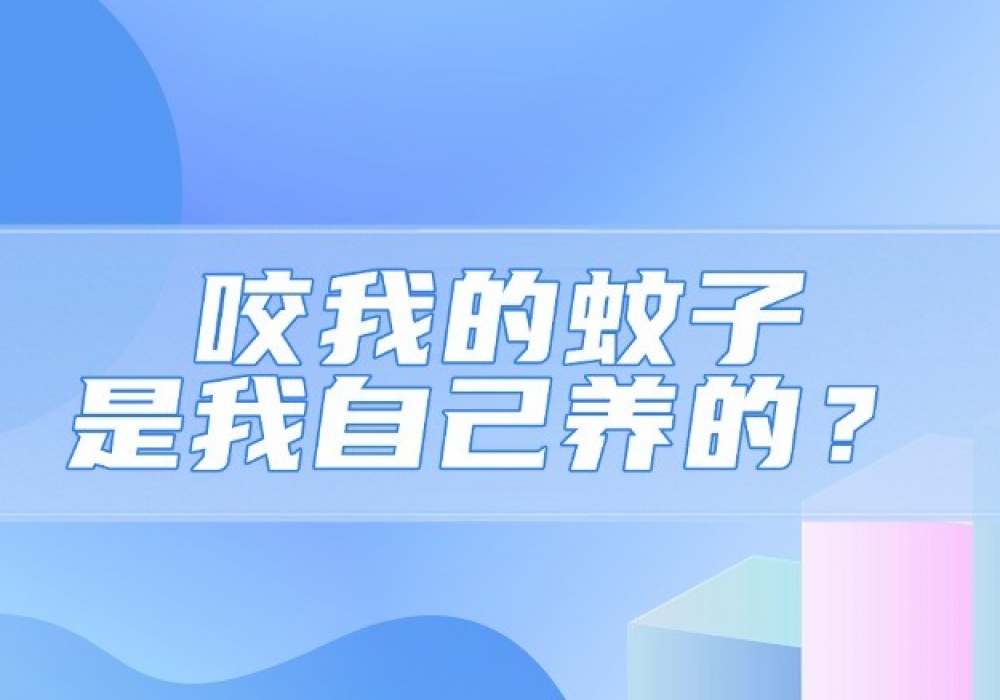 咬我的蚊子，是我自己养的？