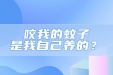 咬我的蚊子，是我自己养的？