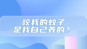 咬我的蚊子，是我自己养的？