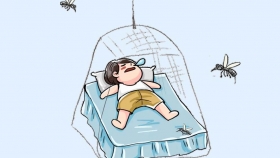 防虫指南：告别蚊、蝇、蟑，守护全家健康！