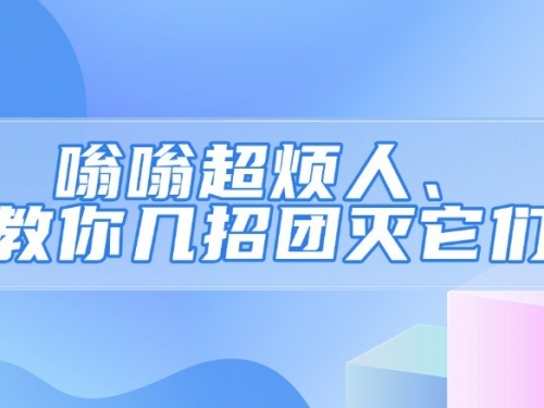 嗡嗡超烦人！教你几招团灭它们→