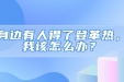 “身边有人得了登革热，我该怎么办？”