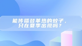 能传播登革热的蚊子，只在夏季出现吗？