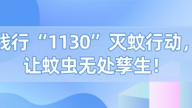 践行“1130”灭蚊行动，让蚊虫无处孳生！